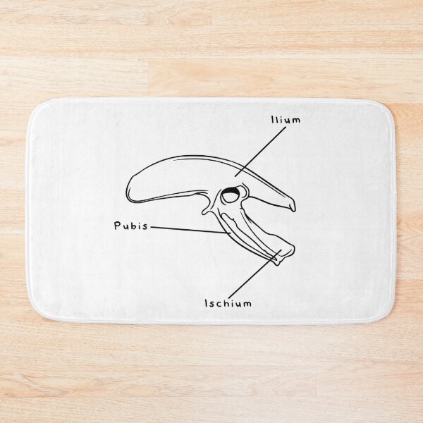 Item preview, Gallus Pelvis (Labeled) designed and sold by peltigaan.