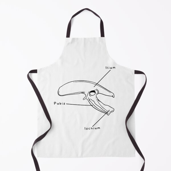 Item preview, Gallus Pelvis (Labeled) designed and sold by peltigaan.