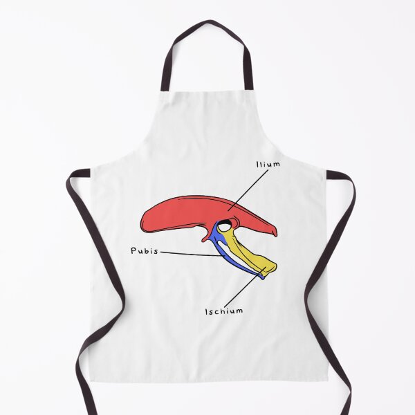 Item preview, Gallus Pelvis (Colored & Labeled) designed and sold by peltigaan.