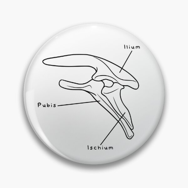 Item preview, Stegosaurus Pelvis (Labeled) designed and sold by peltigaan.
