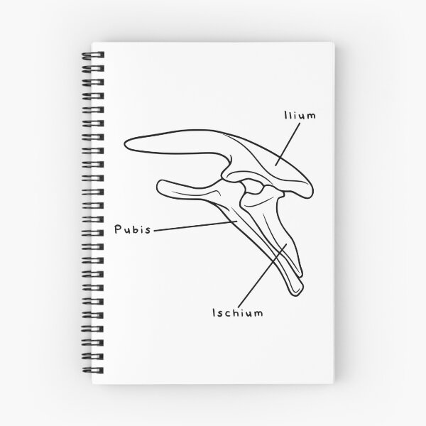 Item preview, Stegosaurus Pelvis (Labeled) designed and sold by peltigaan.