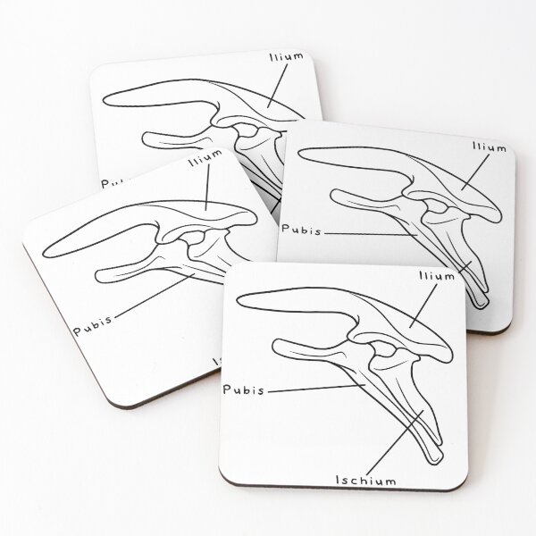 Item preview, Stegosaurus Pelvis (Labeled) designed and sold by peltigaan.