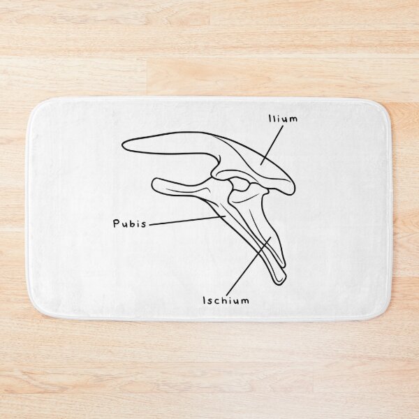 Item preview, Stegosaurus Pelvis (Labeled) designed and sold by peltigaan.
