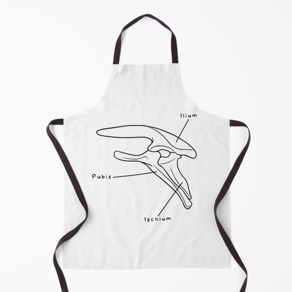 Item preview, Stegosaurus Pelvis (Labeled) designed and sold by peltigaan.