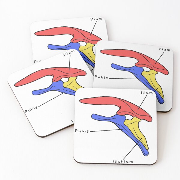 Item preview, Stegosaurus Pelvis (Colored & Labeled) designed and sold by peltigaan.