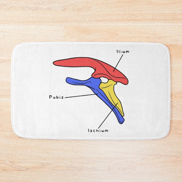 Item preview, Stegosaurus Pelvis (Colored & Labeled) designed and sold by peltigaan.