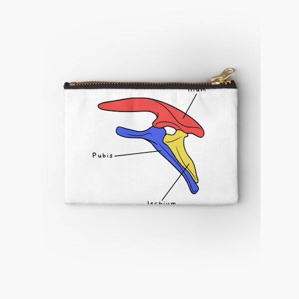 Item preview, Stegosaurus Pelvis (Colored & Labeled) designed and sold by peltigaan.