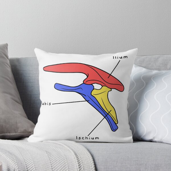Item preview, Stegosaurus Pelvis (Colored & Labeled) designed and sold by peltigaan.