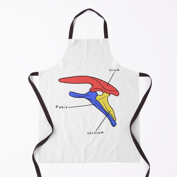 Item preview, Stegosaurus Pelvis (Colored & Labeled) designed and sold by peltigaan.