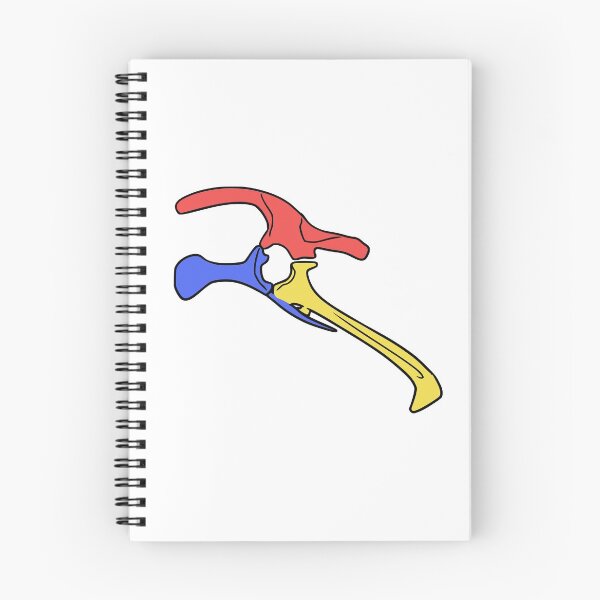 Item preview, Triceratops Pelvis (Colored) designed and sold by peltigaan.