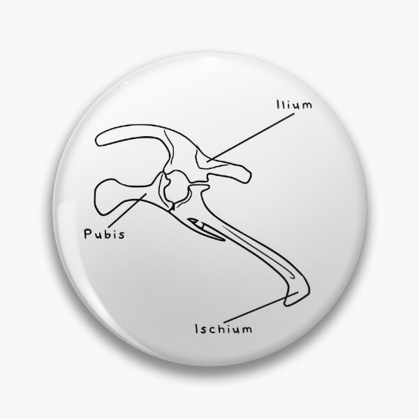 Item preview, Triceratops Pelvis (Labeled) designed and sold by peltigaan.