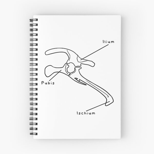 Item preview, Triceratops Pelvis (Labeled) designed and sold by peltigaan.