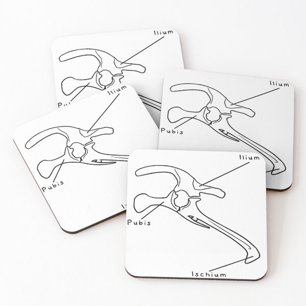 Item preview, Triceratops Pelvis (Labeled) designed and sold by peltigaan.