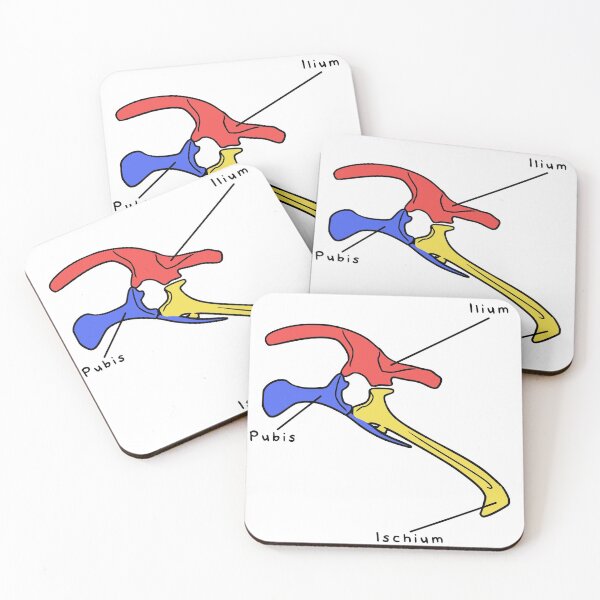 Item preview, Triceratops Pelvis (Colored & Labeled) designed and sold by peltigaan.