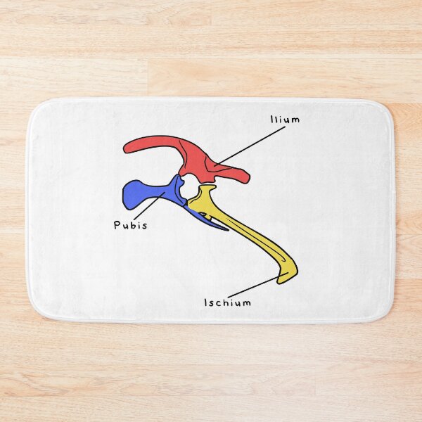 Item preview, Triceratops Pelvis (Colored & Labeled) designed and sold by peltigaan.