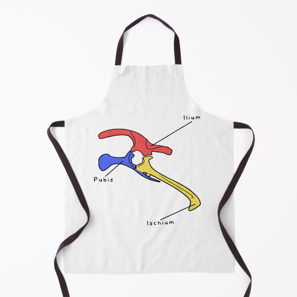Item preview, Triceratops Pelvis (Colored & Labeled) designed and sold by peltigaan.
