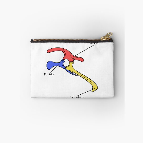 Item preview, Triceratops Pelvis (Colored & Labeled) designed and sold by peltigaan.