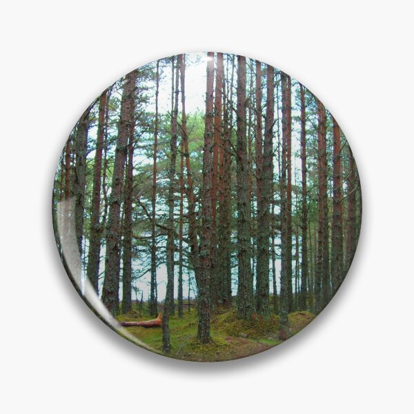 Item preview, A walk in the woods designed and sold by tomg.