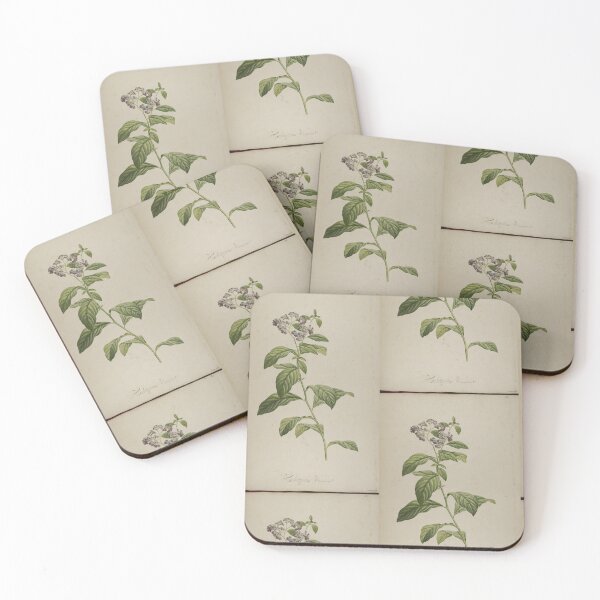 Item preview, vintage botanical designed and sold by Txxmstore.