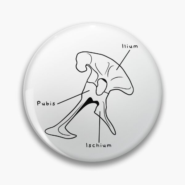 Item preview, Tyrannosaurus Pelvis (Labeled) designed and sold by peltigaan.