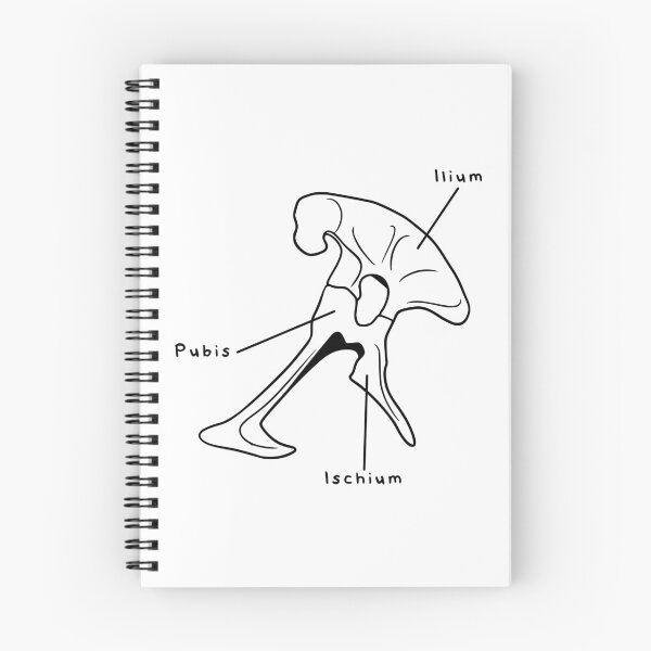 Item preview, Tyrannosaurus Pelvis (Labeled) designed and sold by peltigaan.
