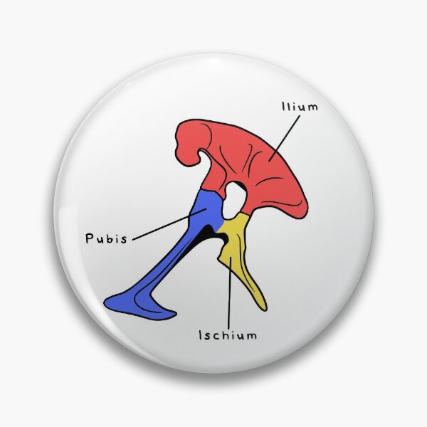 Item preview, Tyrannosaurus Pelvis (Colored & Labeled) designed and sold by peltigaan.