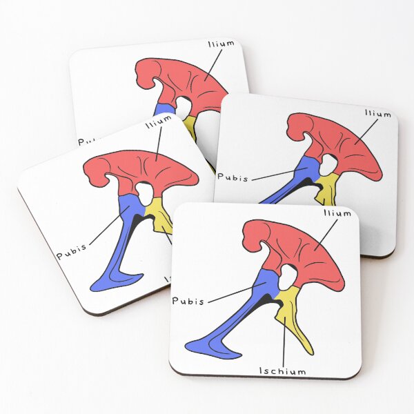 Item preview, Tyrannosaurus Pelvis (Colored & Labeled) designed and sold by peltigaan.