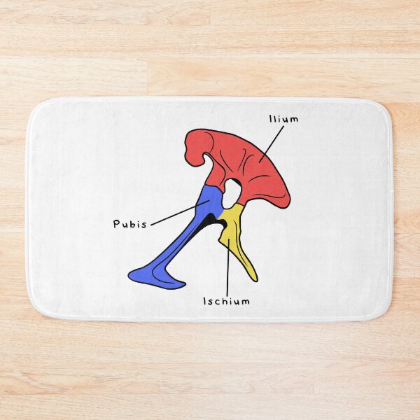 Item preview, Tyrannosaurus Pelvis (Colored & Labeled) designed and sold by peltigaan.