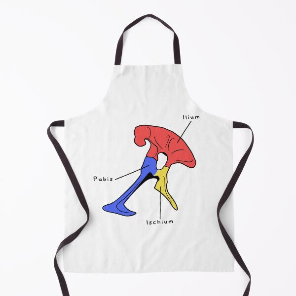 Item preview, Tyrannosaurus Pelvis (Colored & Labeled) designed and sold by peltigaan.