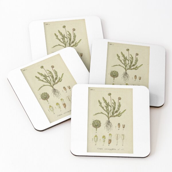 Item preview, vintage botanical designed and sold by Txxmstore.