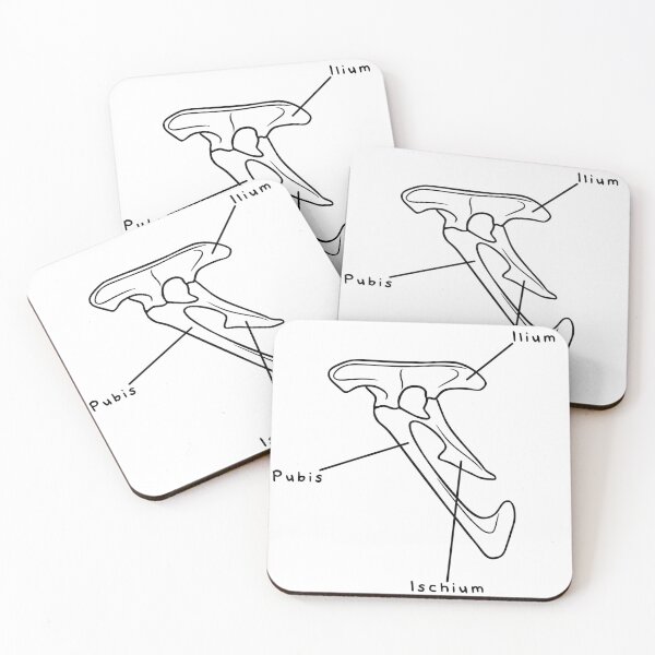 Item preview, Velociraptor Pelvis (Labeled) designed and sold by peltigaan.