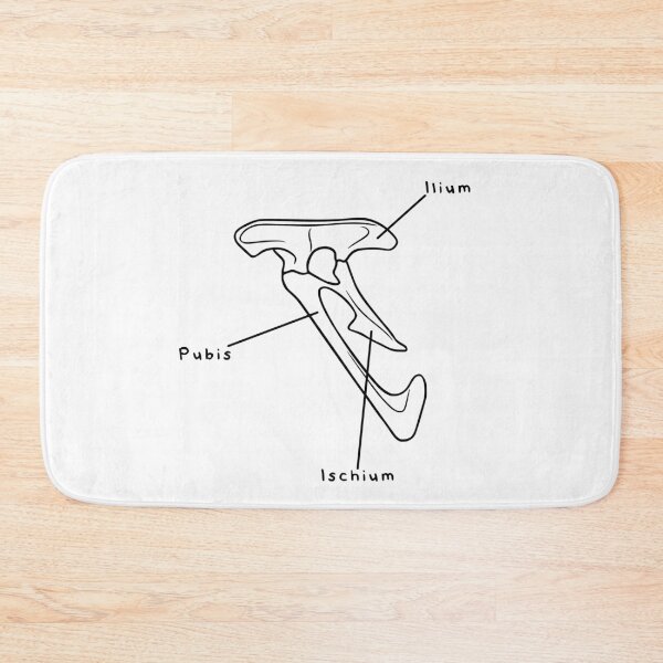 Item preview, Velociraptor Pelvis (Labeled) designed and sold by peltigaan.