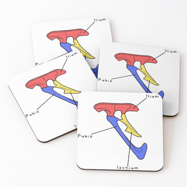 Item preview, Velociraptor Pelvis (Colored & Labeled) designed and sold by peltigaan.