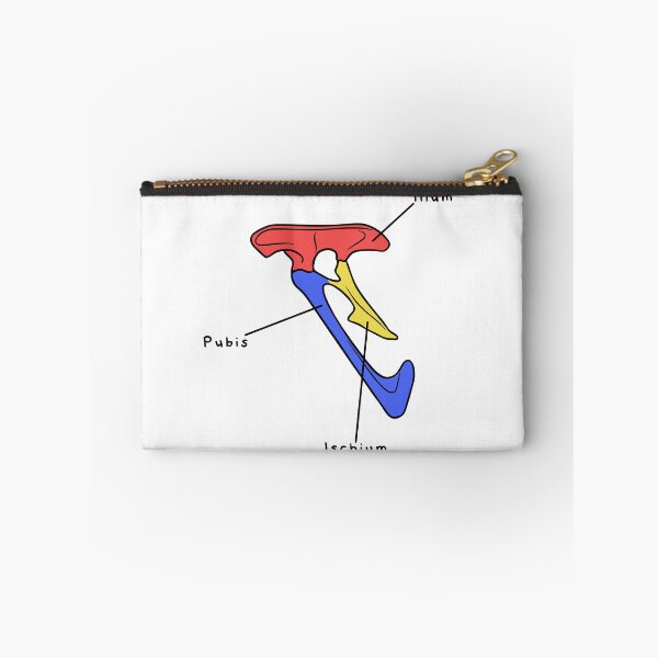 Item preview, Velociraptor Pelvis (Colored & Labeled) designed and sold by peltigaan.