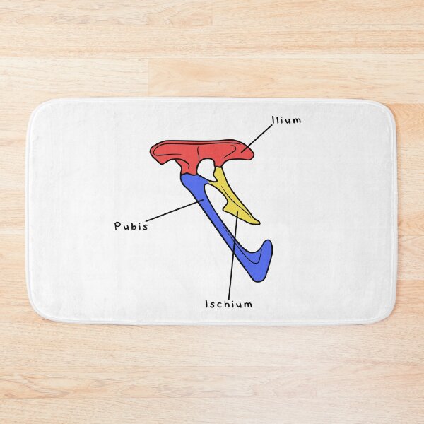 Item preview, Velociraptor Pelvis (Colored & Labeled) designed and sold by peltigaan.