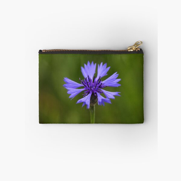 Item preview, Macro photo of a cornflower (Centaurea cyanus) designed and sold by Zosimus.