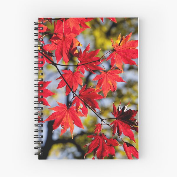 Item preview, Maple leaves designed and sold by Irina Polyanskaya.