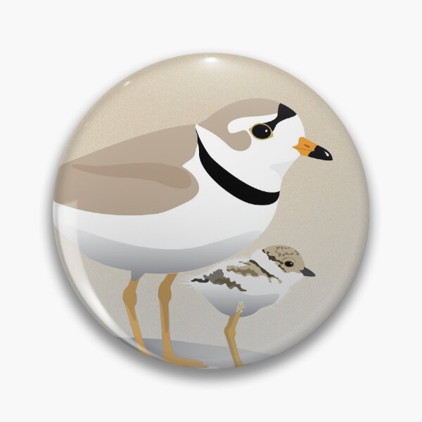 Item preview, Piping Plover and chick designed and sold by bigeffinbee.