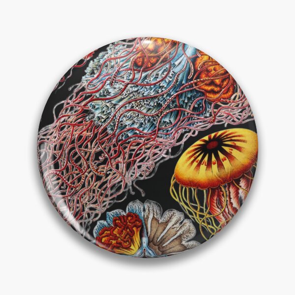 Item preview, Vintage Jellyfish by Ernst Haeckel Classic T-Shirt designed and sold by Kaylinky.