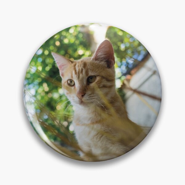 Item preview, Cat T shirt designed and sold by VicOriginal.