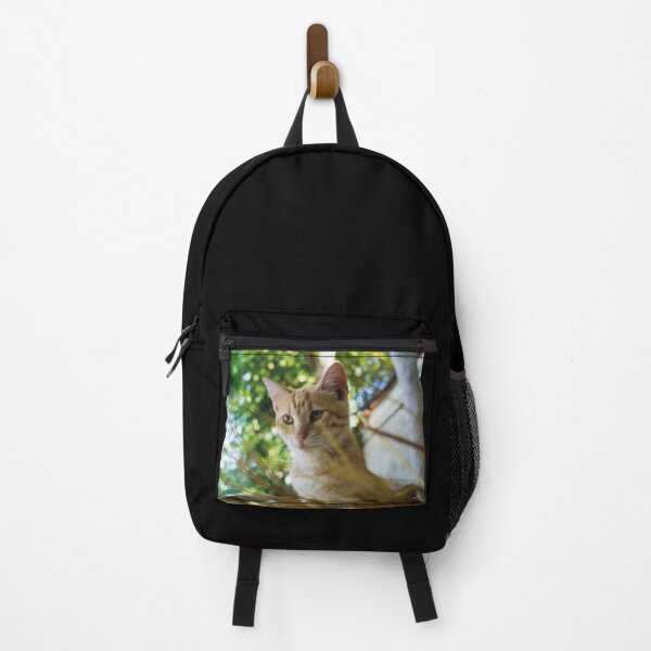 Item preview, Cat T shirt designed and sold by VicOriginal.