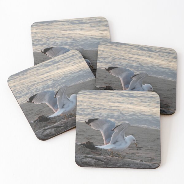 Item preview, Gull-on-the-Go designed and sold by Tara  Baxendale.