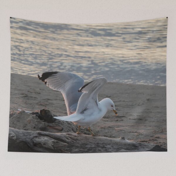 Item preview, Gull-on-the-Go designed and sold by Tara  Baxendale.