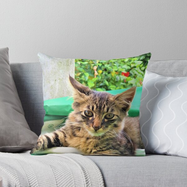 Item preview, He is back! Julien the Cat designed and sold by FaustineD.