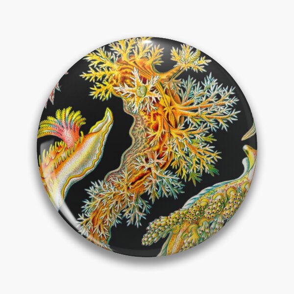 Item preview, Ernst Haeckel Nudibranch Sea Slugs Classic T-Shirt designed and sold by Kaylinky.