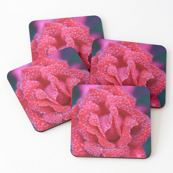 Item preview, Dewy rose designed and sold by zumi.
