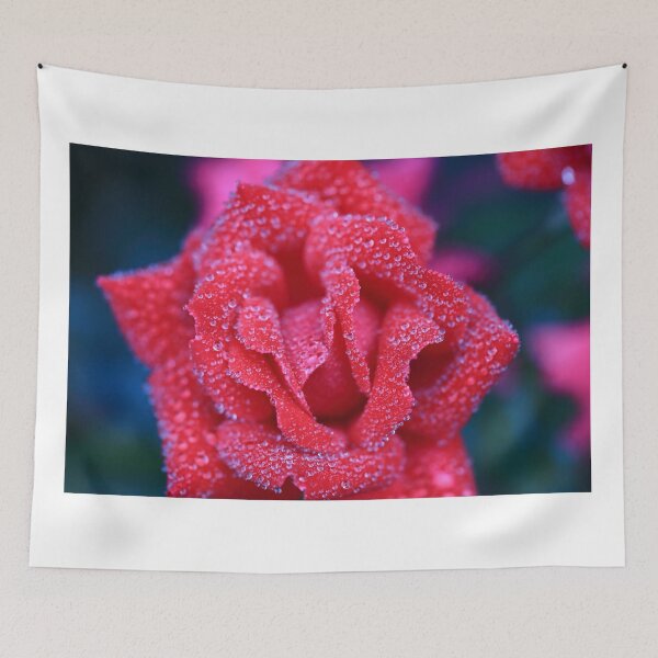 Item preview, Dewy rose designed and sold by zumi.