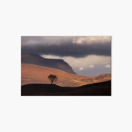 Item preview,  Quinag Lone Rowan Tree. Assynt Scotland. designed and sold by PhotosEcosse.