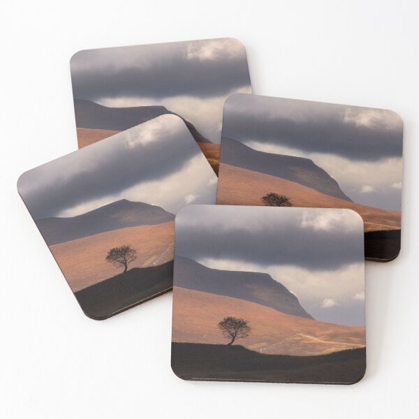 Item preview,  Quinag Lone Rowan Tree. Assynt Scotland. designed and sold by PhotosEcosse.