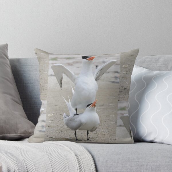 Item preview, Royal Tern designed and sold by MelKowasic.